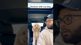 Mini Cockapoo Goes into Deep Thought before Answering Division Questions 😳 Profile