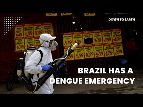 Dengue outbreak in Brazil prompting emergency health measures