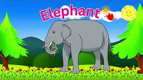 Animal Sounds for Children (20 Amazing Animals)