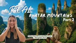 Better Than Avatar The Secret Side Of Zhangjiajie