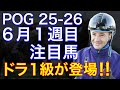 【POG/25−26】６月１週目デビューの注目新馬を紹介【２歳戦スタート‼️ドラ１級がいきなり登場！】