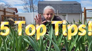 Simple Tips for Beginner Gardeners by Casual Gardening with Dustin 149 views 3 weeks ago 10 minutes, 27 seconds