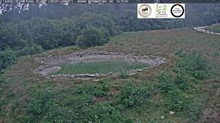 Preview of stream Sanctuarul de ursi Libearty Zarnesti