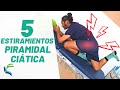 CIATICA 5 EJERCICIOS de estiramientos para PIRAMIDAL | Fisiolution