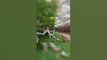 This Drone Will Get The Job Done! Pavo Pico with 03 Camera