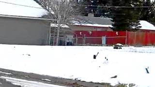 Homes For Sale - 613 Texas St - Cortez, Co 81321 - Robin Rice