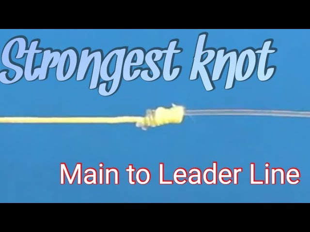 How to Tie Main Line to Swivel to Leader Line 