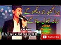 Full naat2019hara gumbad jo dekhoge abdul hameed quadri         labe hassan