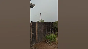 8 8 2023 Hail 