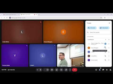 Video preview