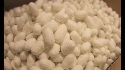 Introduction to Textiles - Classification and Terminology used in Textiles - 1