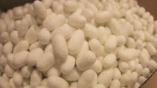 Introduction to Textiles - Classification and Terminology used in Textiles - 1