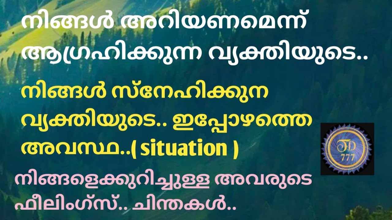നിങ്ങൾ സ്നേഹിക്കുന്ന വ്യക്തിയുടെ കറൻ്റ് situation.. @tarotdexterity777.