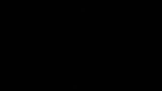 Celebrity Wii Sports Resort Morse Code? Net Worth