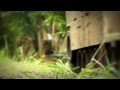 M1A2 Abrams all sound with Benedini