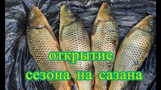 видео: Каплица. Открытие сезона на сазана на Дону. Пьяная кукуруза - работает. Секретный ингредиент от Ва.. картинка: Каплица. Открытие сезона на сазана на Дону. Пьяная кукуруза - работает. Секретный ингредиент от Ва..