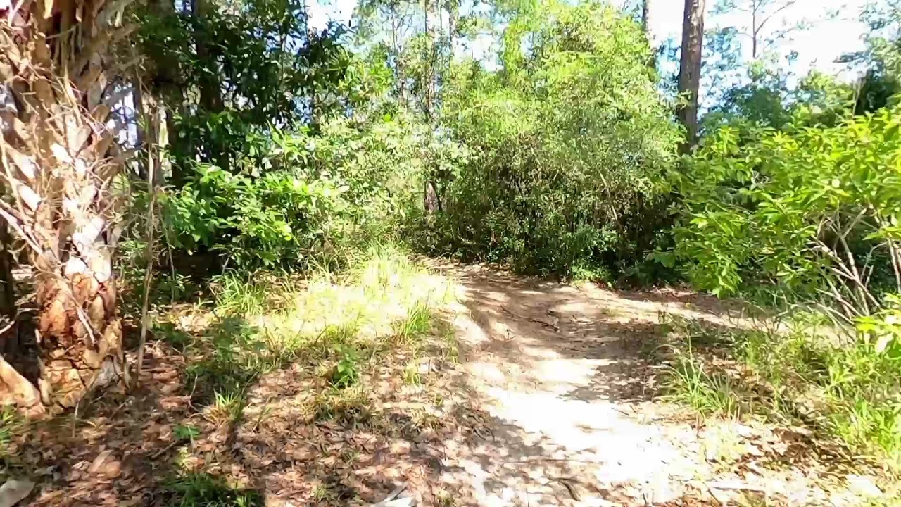 Trek Marlin 5 takes on Double Black Diamond Trail with ease