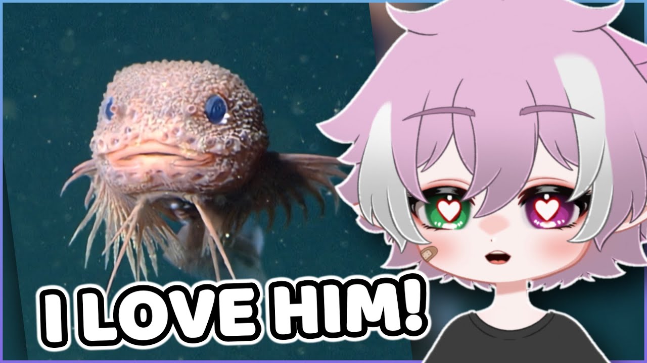 Я ЛЮБЛЮ эту УРОДЛИВУЮ рыбу || Ещё больше реакций Парза