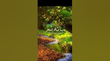 الشيخ القارئ محمد الفقيه بارك الله فيه اجمل صوت واحسن ترتيل