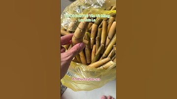 Tỏi Cô Đơn Phù Yên Và Măng Lay Sơn La Amthuctaybac.vn #toicodonphuyen #manglay #toicodonamthuctb