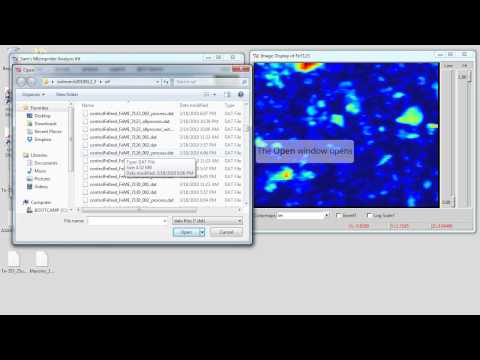 SMAK tutorial  5 XANES mapping
