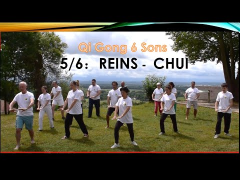 Qi Gong 6 healing sounds CHUI (5/6): Work the energy of the Kidneys, pr. Wang De Feng -Eng. Subtitle