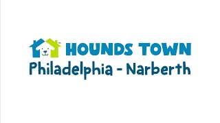 Hounds Town USA Store Walkthrough  Philadelphia  Narberth, PA