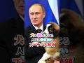 「何の罪もない動物を、無責任に捨てる人間が沢山いる。」愛犬家で有名なプーチン大統領、新たな法律を作り国民に動物との接し方を熱弁。 #プーチン #プーチン大統領 #犬 #猫 #ロシア #shorts