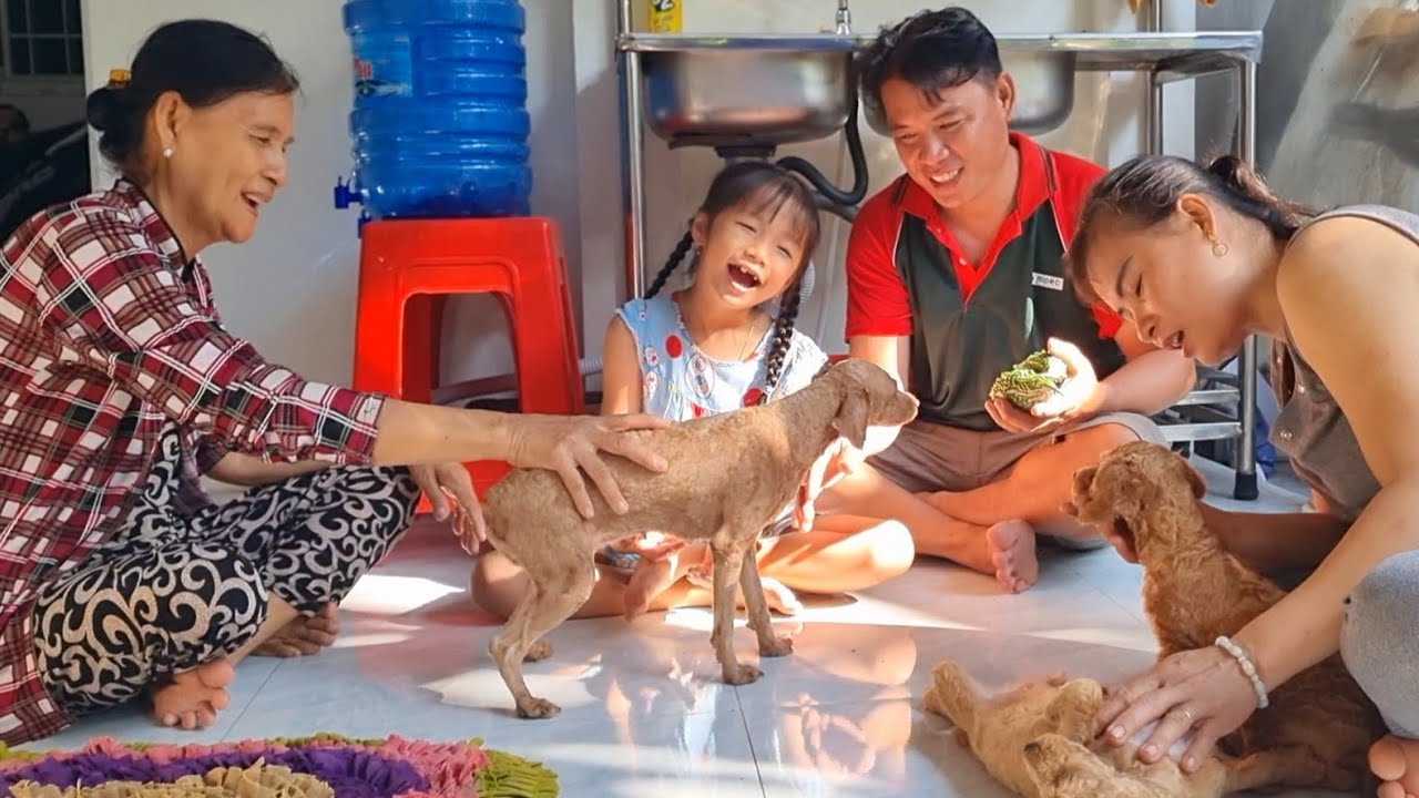 Cô 2 Thương Cháu Lắm Mới Tặng Cho Thứ Này | ATTD&Family T765