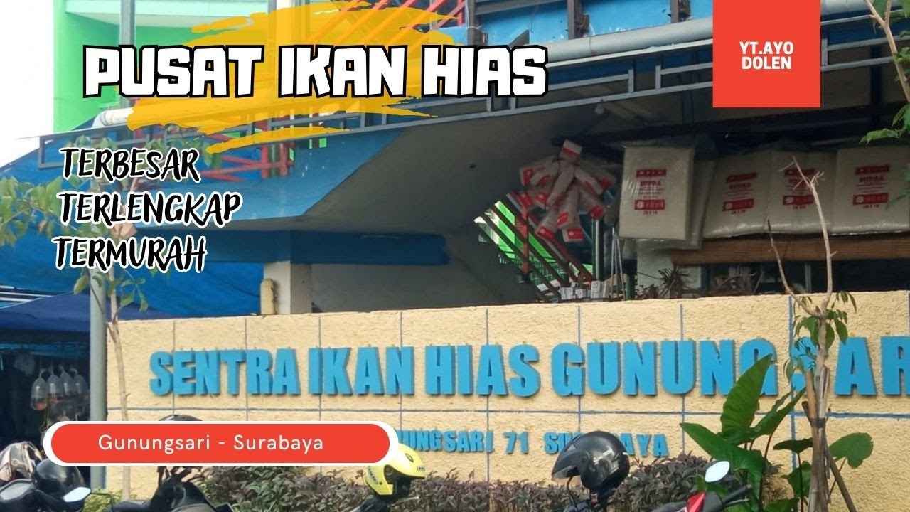 Pasar Ikan Hias Surabaya Gunungsari/ Pasar Ikan Hias Terbesar di Surabaya/ Update Terbaru 2024