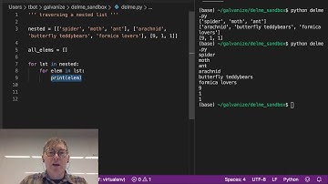 List Iteration Traversing a Single Nested List