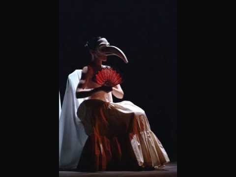 Cammenanno Video