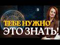 Тебе это нужно знать‼️Таро расклад. Елена Коф #таро #гадание #раскладтаро