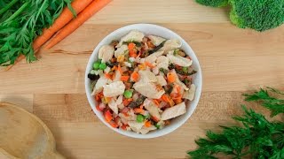 Homemade Dog Food In Just 15 Seconds