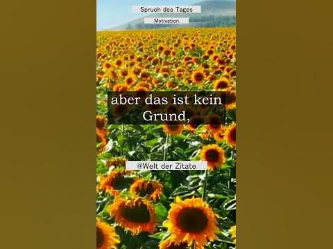Das Leben ist unfair? motivation shorts spruch YouTube