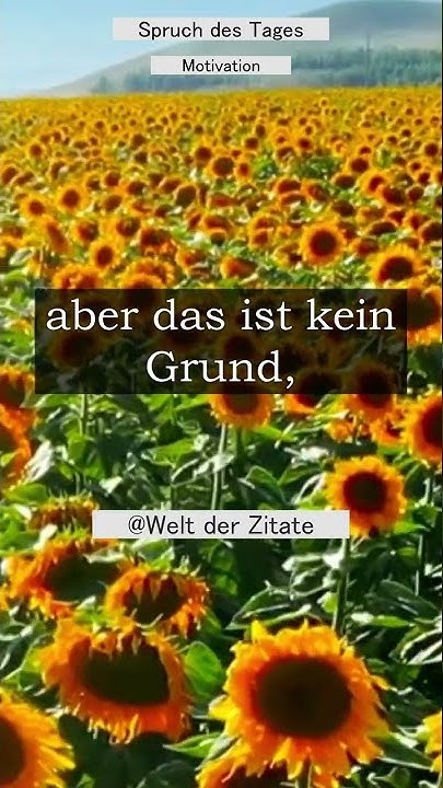 Das Leben ist unfair? motivation shorts spruch YouTube