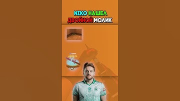 Новый молик от НИКО #cs2 #csgo #game #counterstrikefacts #cs2overpass