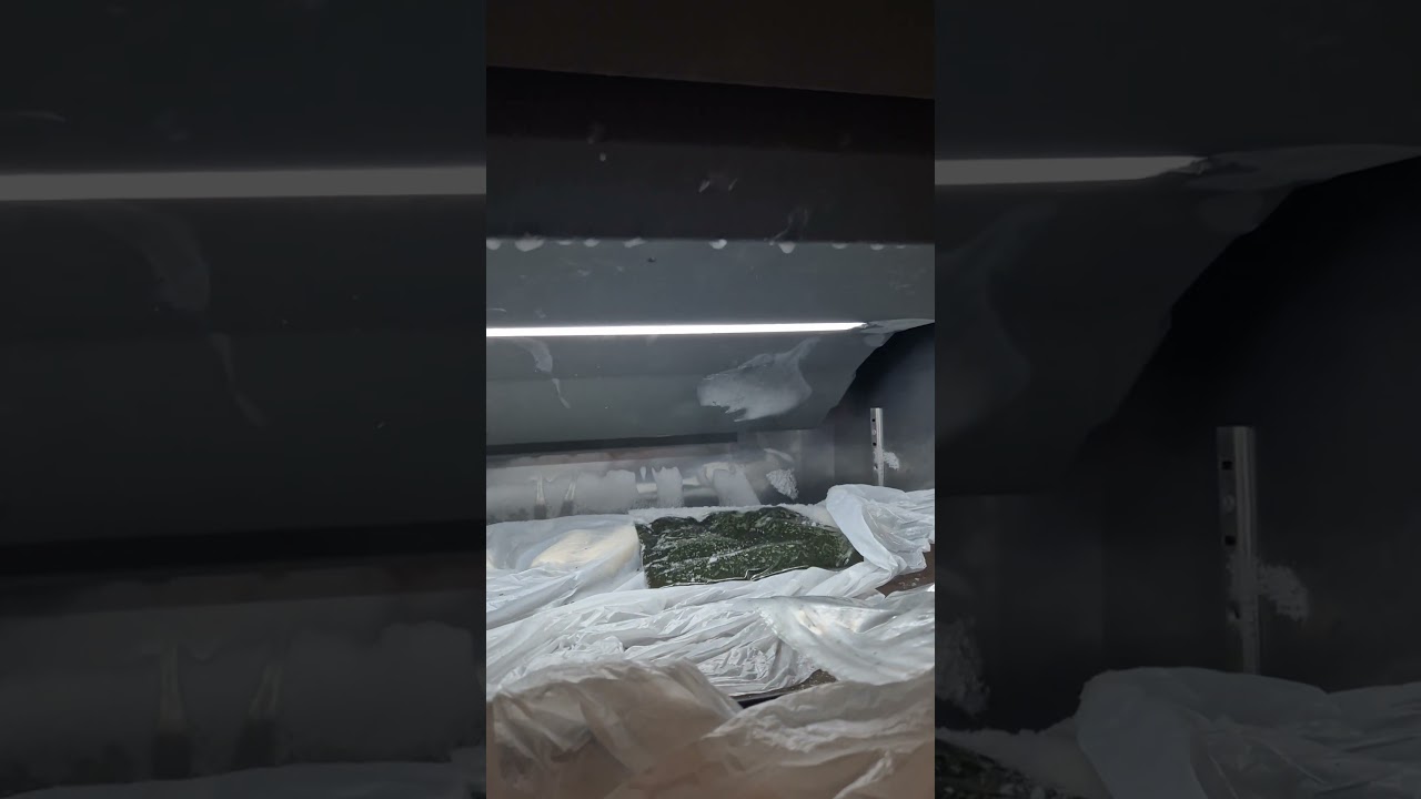 부산 강서구 STARION 스타리온 간냉식냉장고 시끄러운 모타소리  알고보니 에바팬모터 불량 고장교체 수리 부산가나냉동수리점 010.2840.9902