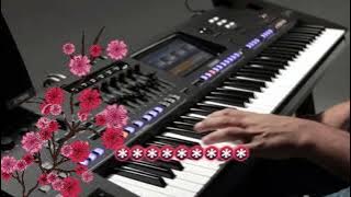 Tomatoatta' Nassabari Bugis lirik Voc. Vera Kulle Cipt. Zankrewo #lagubugis#lagubugispopuler