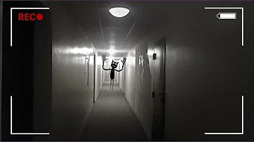 カートゥーンキャット目撃