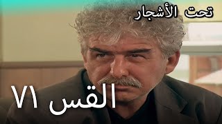 71سنوات الضياع