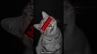 #smart animal and small dog# video