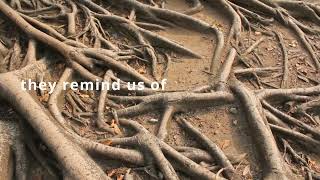 New Gardenia Pietra Naturale collezione - Silver Roots screenshot 1