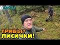 Ищем грибы холодной осенью - что ещё растёт? / 25.10.2023 / Латвия