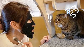 Can My Cats Recognize Me with a Face Mask? (ENG SUB)
