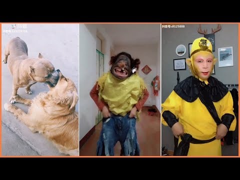 Video Tik Tok Hài Hước Vui Nhộn - Những Video Triệu View... - youtube
