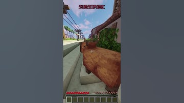 CAPYBARA! 😘🥰😍 #shorts