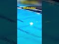 Diving genius Quan Hongchan 全红婵跳水的水花消失术 #olympics #olympics2024 #diving #genius #share #girl