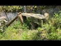 【LIVE】もっともっとマーモット～カピバラの繁殖活動
