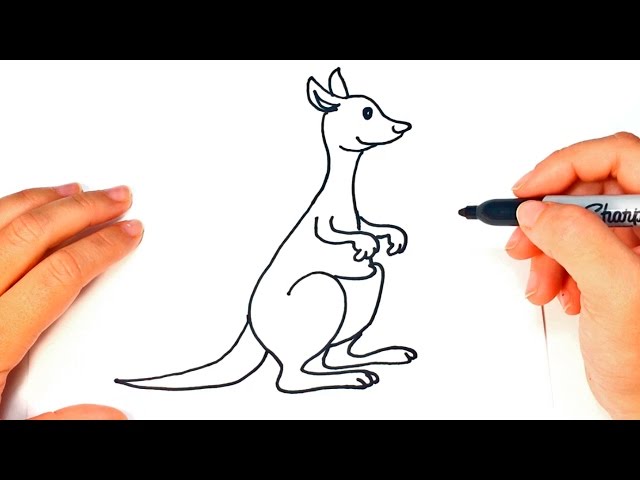 Cómo dibujar un Canguro paso a paso | Dibujo fácil de Canguro - YouTube c-mo-dibujar-un-canguro-paso-a-paso-dibujo-f-cil-de-canguro-youtube